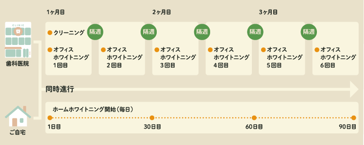 画像:デュアルホワイトニングのスケジュール例